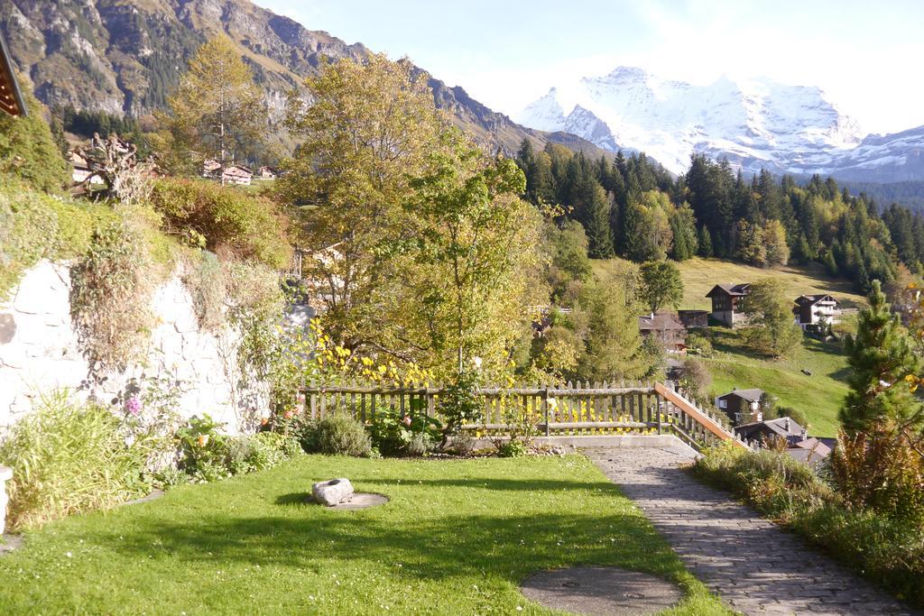 Chalet Acheregg Wengen Exterior foto
