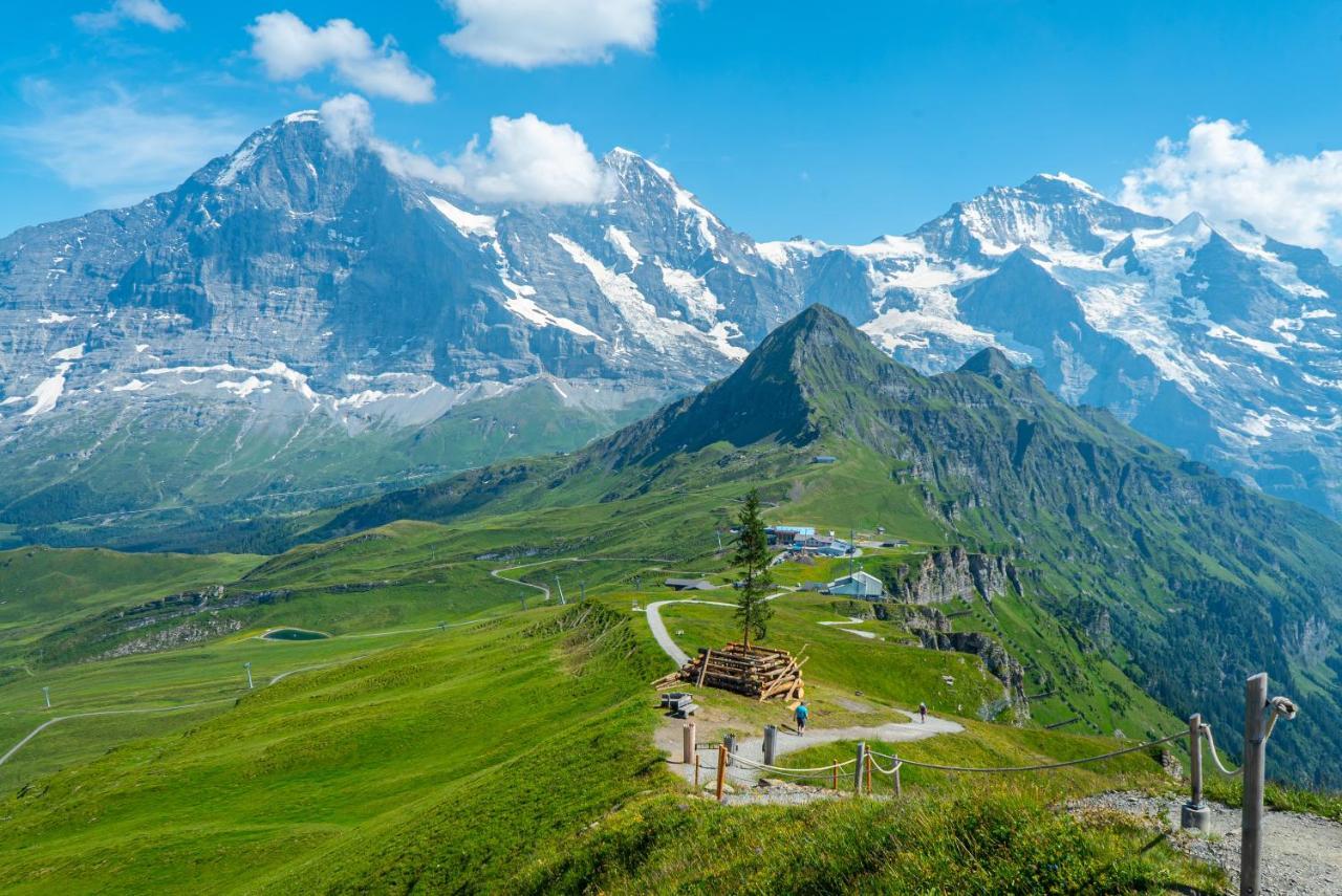 Chalet Acheregg Wengen Exterior foto